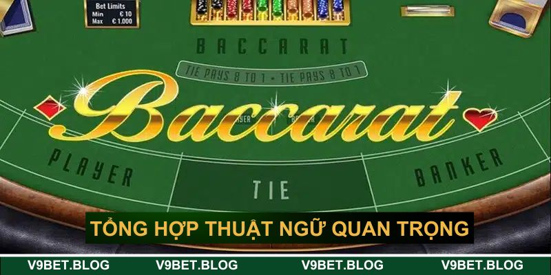 Tổng hợp thuật ngữ quan trọng