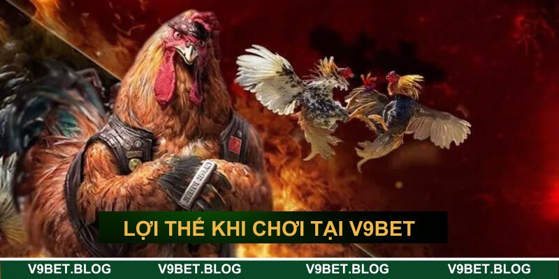 Lợi thế khi chơi cá cược đá gà trực tuyến V9bet
