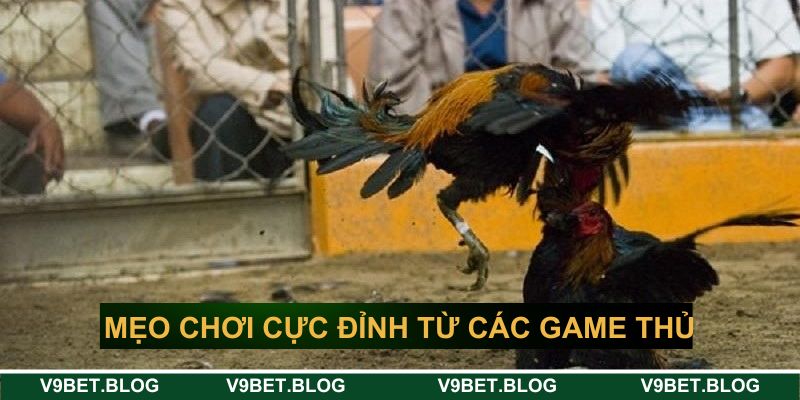 Mẹo chơi cực đỉnh từ các game thủ chuyên nghiệp