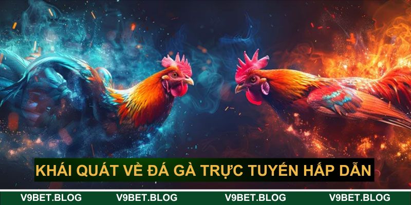 Khái quát về đá gà trực tuyến hấp dẫn V9bet