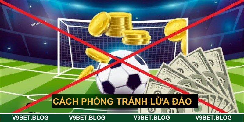Cách phòng tránh lừa đảo cá cược trực tuyến