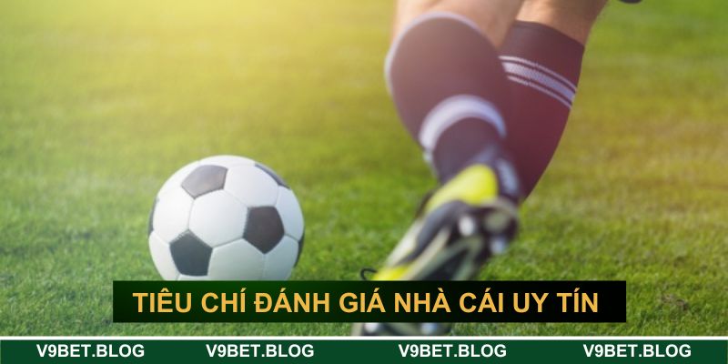 Tiêu chí để đánh giá top nhà cái bóng đá uy tín nhất